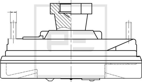 PE Automotive 100.235-00A - Зчеплення, вентилятор радіатора autozip.com.ua