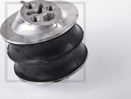 PE Automotive 120.196-00A - Подушка, підвіска двигуна autozip.com.ua