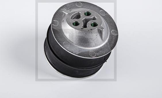 PE Automotive 120.114-50A - Подушка, підвіска двигуна autozip.com.ua