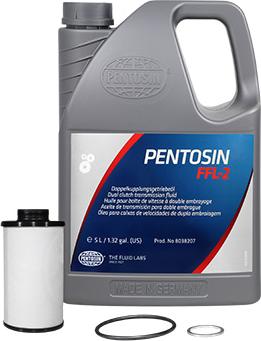 Pentosin 8038207 - Масло, коробка передач з подвійним зчепленням (DSG) autozip.com.ua
