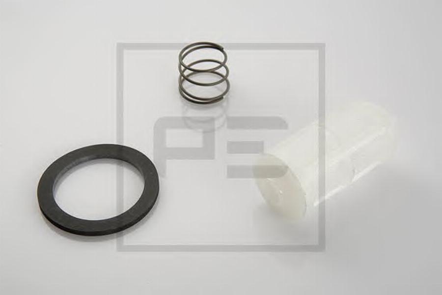 PE Automotive 00025100A - Паливний фільтр autozip.com.ua