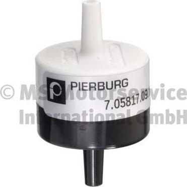 Pierburg 7.05817.09.0 - Клапан, система вторинного повітря autozip.com.ua