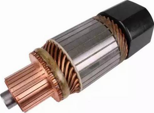 PowerMax 81017498 - Якір, стартер autozip.com.ua