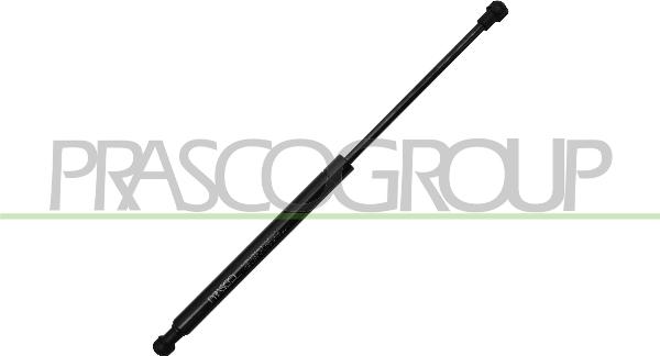 Prasco BM0249005 - Газова пружина, капот autozip.com.ua