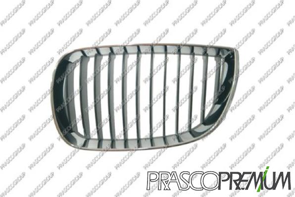 Prasco BM1202004 - Решітка радіатора autozip.com.ua