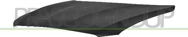 Prasco BM1233120 - Капот двигуна autozip.com.ua