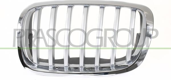 Prasco BM8402034 - Решітка радіатора autozip.com.ua