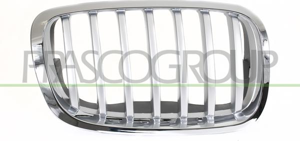 Prasco BM8402033 - Решітка радіатора autozip.com.ua