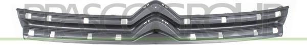 Prasco CI9442001 - Решітка радіатора autozip.com.ua