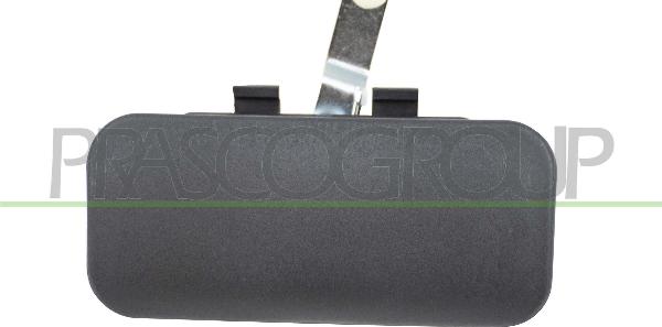 Prasco FD9108001 - Ручка двері autozip.com.ua