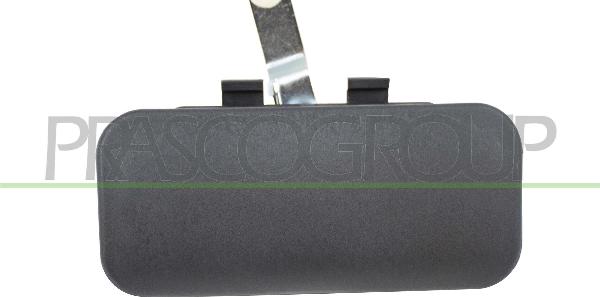 Prasco FD9108002 - Ручка двері autozip.com.ua