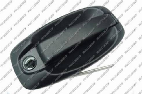 Prasco FT9078001 - Ручка двері autozip.com.ua