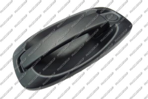 Prasco FT9078201 - Ручка двері autozip.com.ua