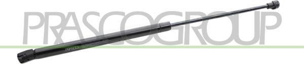 Prasco VG0219055 - Газова пружина, кришка багажник autozip.com.ua