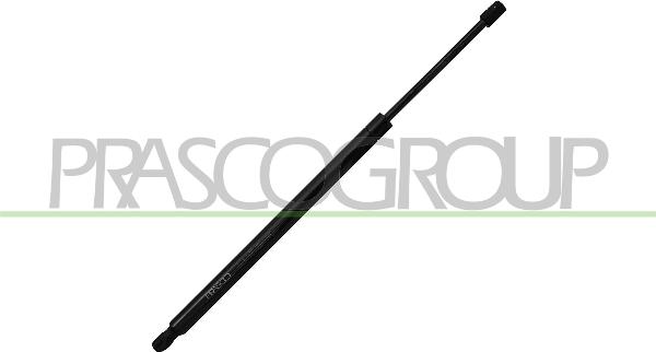 Prasco VG1019055 - Газова пружина, кришка багажник autozip.com.ua
