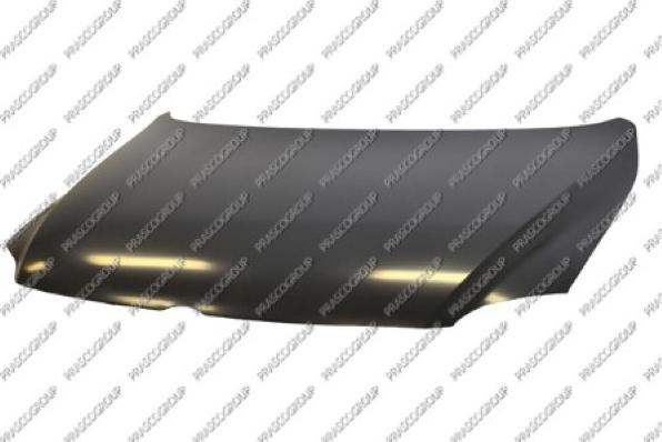Prasco VG3303100 - Капот двигуна autozip.com.ua
