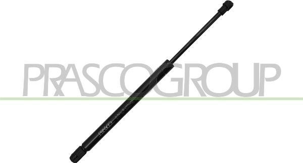 Prasco VG2019055 - Газова пружина, кришка багажник autozip.com.ua