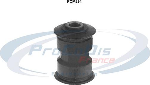 Procodis France PCM291 - Подушка, підвіска двигуна autozip.com.ua