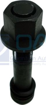 QAP S10003 030002 - Болт кріплення колеса autozip.com.ua