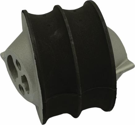 QAP S12011 050406 - Подушка, підвіска двигуна autozip.com.ua