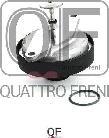Quattro Freni QF47A00067 - Клапан повернення ОГ autozip.com.ua