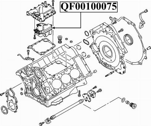 Quattro Freni QF47A00003 - Клапан, відведення повітря з картера autozip.com.ua