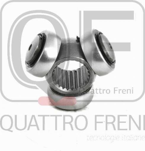 Quattro Freni QF00000101 - Муфта з шипами, приводний вал autozip.com.ua