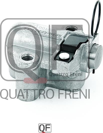 Quattro Freni QF00100123 - Натягувач, ланцюг приводу autozip.com.ua