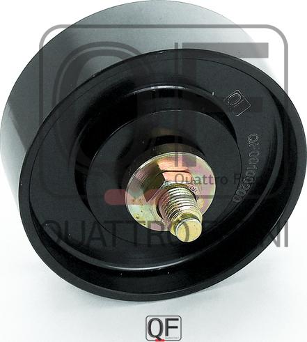 Quattro Freni QF00100200 - Паразитний / провідний ролик, поліклиновий ремінь autozip.com.ua
