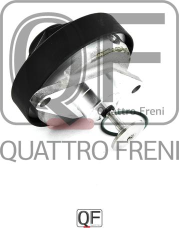 Quattro Freni QF00T01409 - Клапан повернення ОГ autozip.com.ua