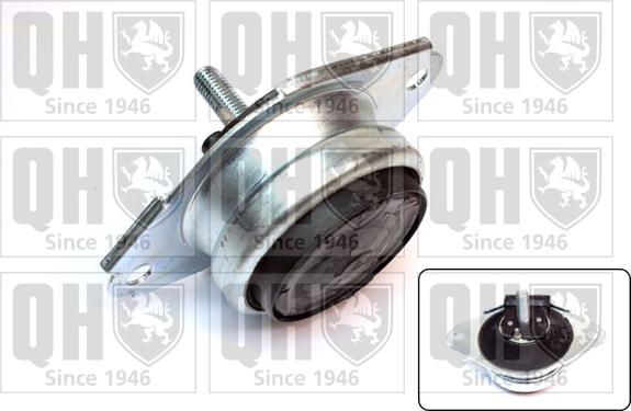 Quinton Hazell EM4163 - Подушка, підвіска двигуна autozip.com.ua