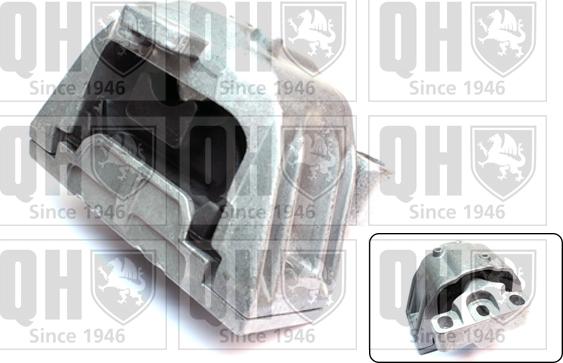 Quinton Hazell EM4173 - Подушка, підвіска двигуна autozip.com.ua