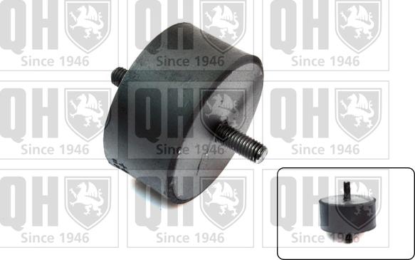 Quinton Hazell EM670 - Подушка, підвіска двигуна autozip.com.ua