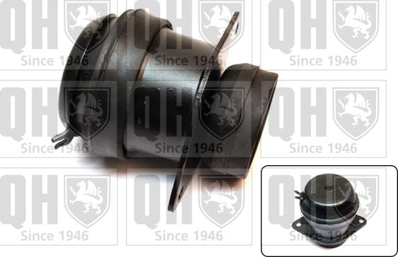 Quinton Hazell EM1888 - Подушка, підвіска двигуна autozip.com.ua