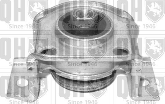 Quinton Hazell EM3135 - Подушка, підвіска двигуна autozip.com.ua