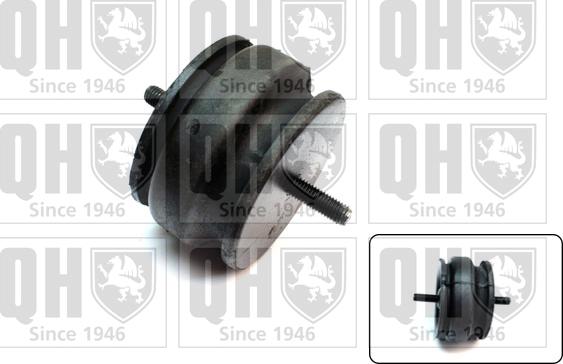 Quinton Hazell EM3172 - Подушка, підвіска двигуна autozip.com.ua