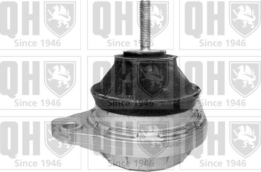 Quinton Hazell EM2453 - Подушка, підвіска двигуна autozip.com.ua