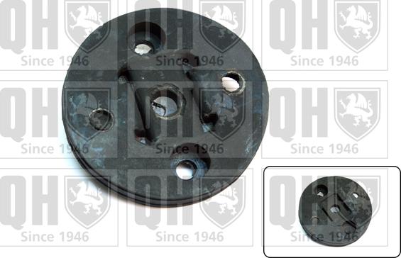Quinton Hazell EMD1630 - Фланець, колонка рульового управління autozip.com.ua