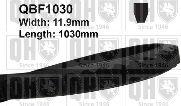 Quinton Hazell QBF1030 - Клиновий ремінь autozip.com.ua