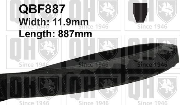 Quinton Hazell QBF887 - Клиновий ремінь autozip.com.ua