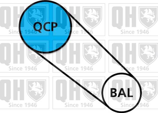 Quinton Hazell QBPK9159 - Водяний насос + комплект зубчатого ременя autozip.com.ua