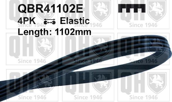 Quinton Hazell QBR41102E - Поліклиновий ремінь autozip.com.ua