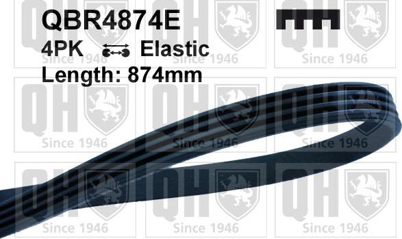 Quinton Hazell QBR4874E - Поліклиновий ремінь autozip.com.ua