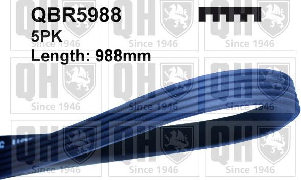 Quinton Hazell QBR5988 - Поліклиновий ремінь autozip.com.ua