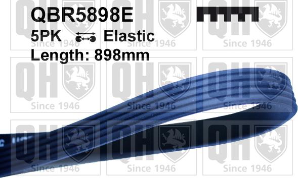 Quinton Hazell QBR5898E - Поліклиновий ремінь autozip.com.ua