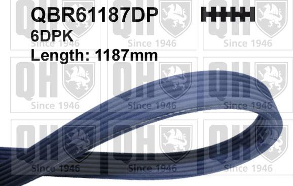 Quinton Hazell QBR61187DP - Поліклиновий ремінь autozip.com.ua