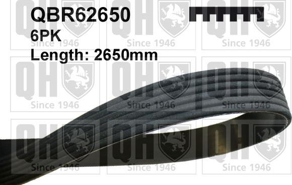 Quinton Hazell QBR62650 - Поліклиновий ремінь autozip.com.ua