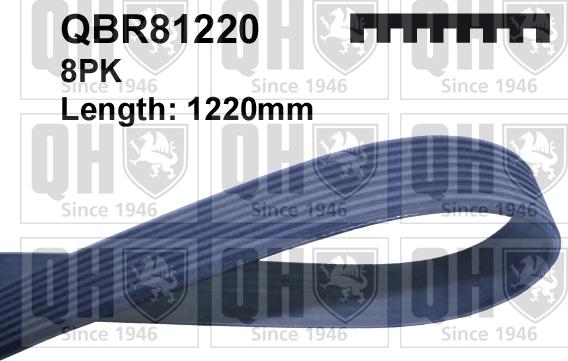 Quinton Hazell QBR81220 - Поліклиновий ремінь autozip.com.ua