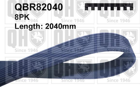 Quinton Hazell QBR82040 - Поліклиновий ремінь autozip.com.ua