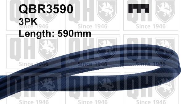 Quinton Hazell QBR3590 - Поліклиновий ремінь autozip.com.ua